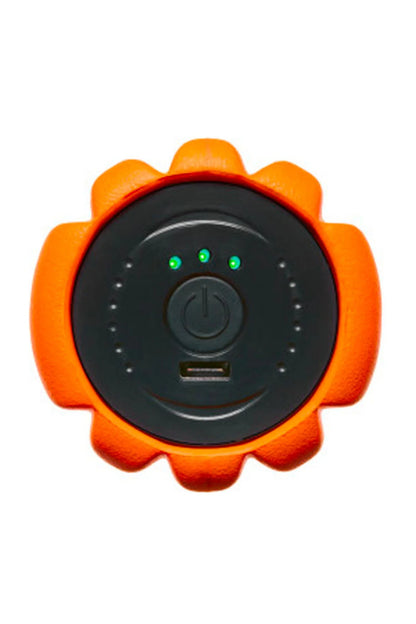 Contemporary Recovery Recover Roller